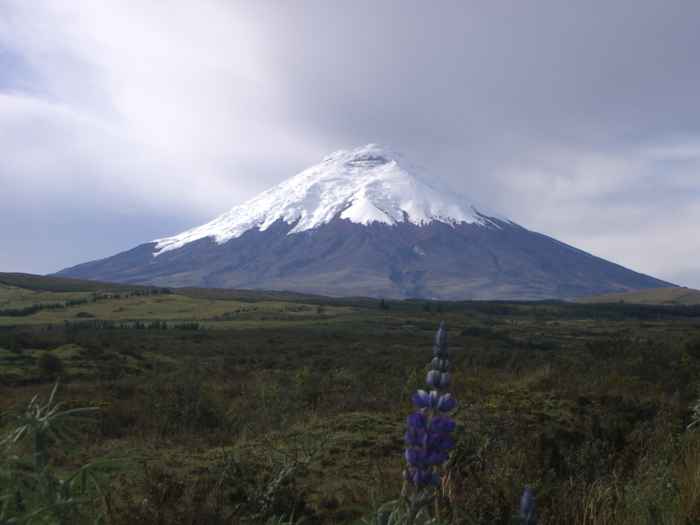 Cotopaxi