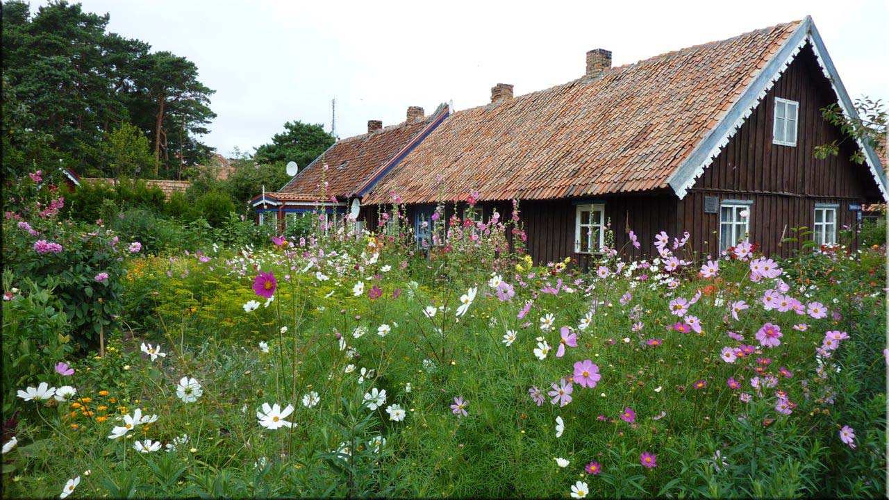  Idylle pur im Baltikum 