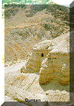 Hier klicken um das Bild zu vergr��ern