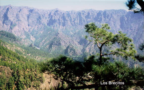 Los Brecitos 2