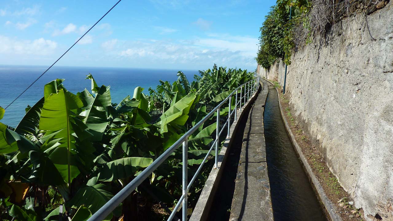 Levada