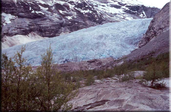 Nigardsbreen