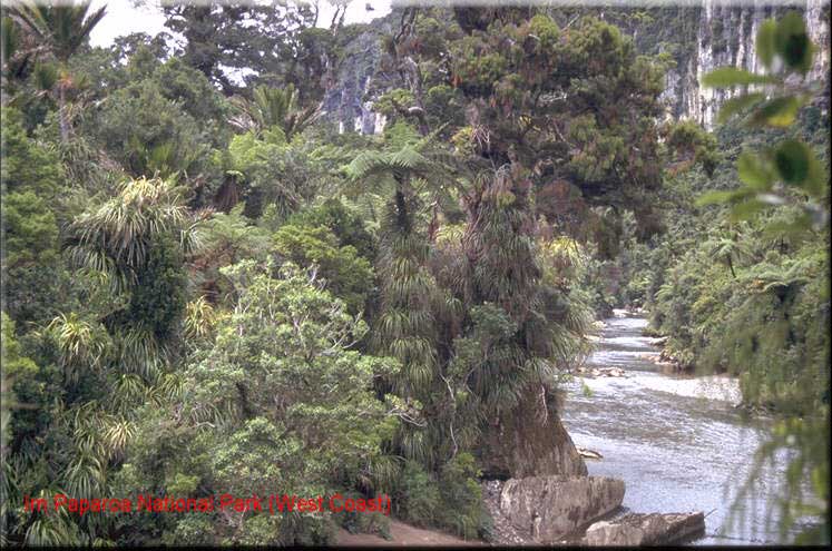 Paparoa National Park