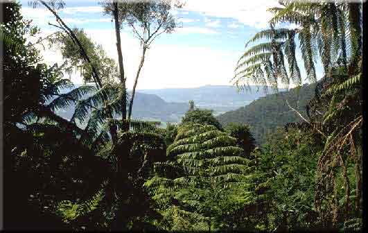 Kangaroo Valley