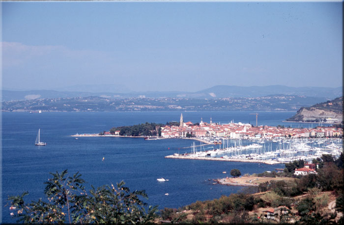 Izola