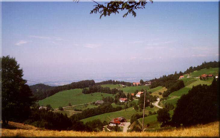 Schwarzwald